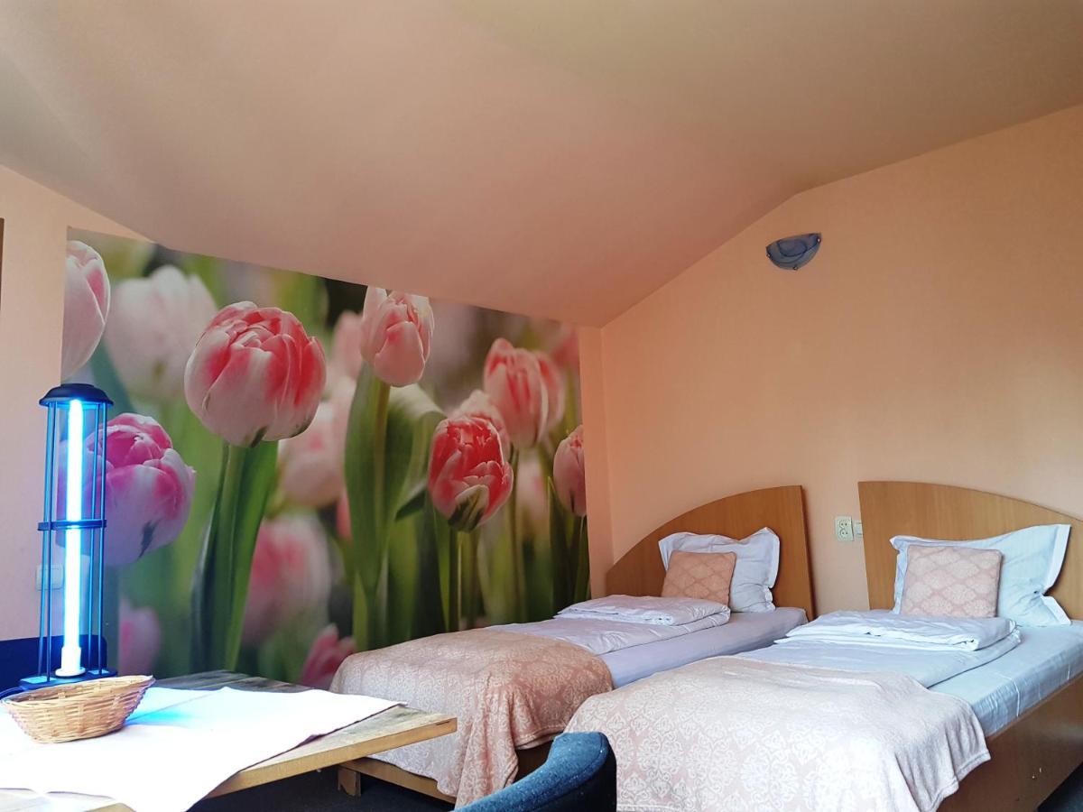 Pensiunea Paloma 3 Stele Brasov Bagian luar foto