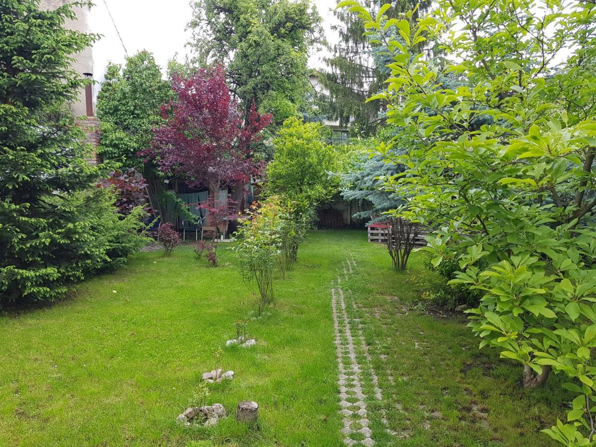 Pensiunea Paloma 3 Stele Brasov Bagian luar foto