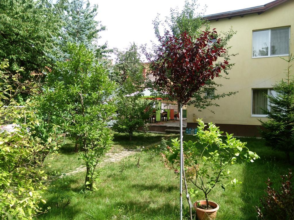 Pensiunea Paloma 3 Stele Brasov Bagian luar foto