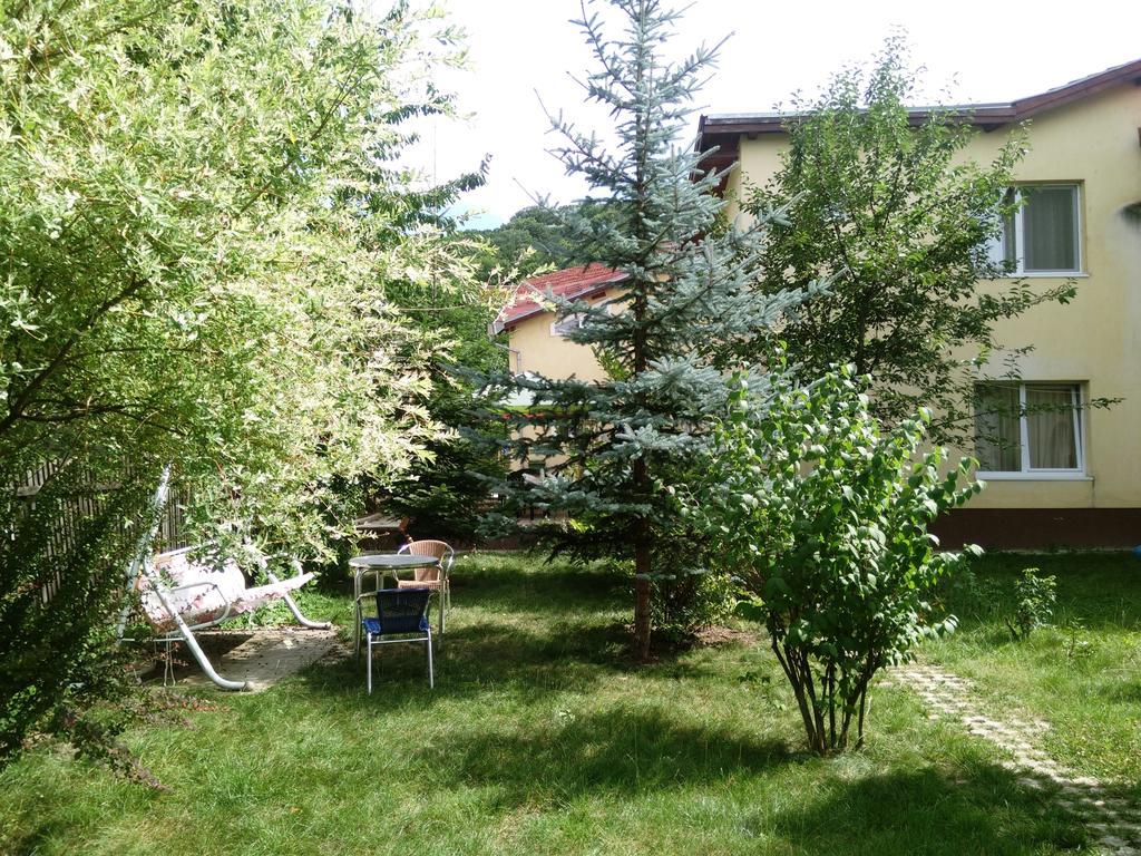 Pensiunea Paloma 3 Stele Brasov Bagian luar foto