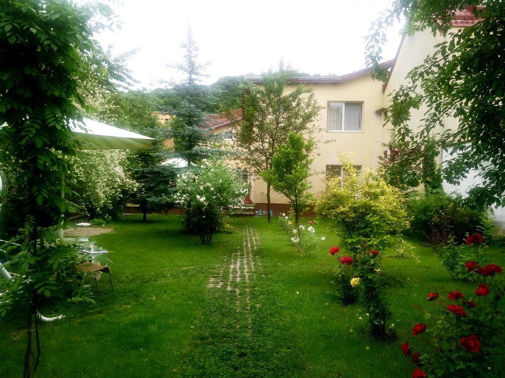 Pensiunea Paloma 3 Stele Brasov Bagian luar foto
