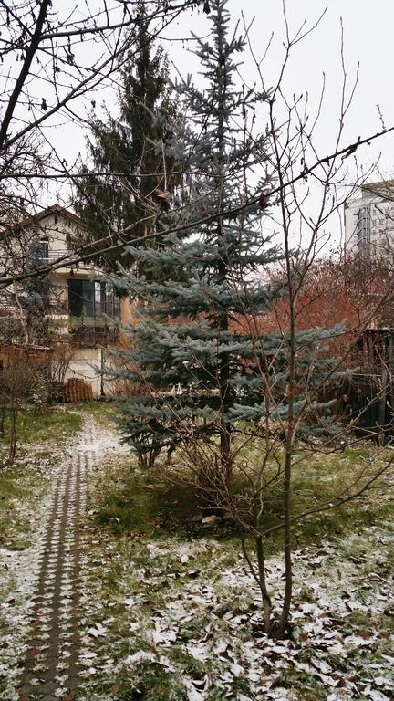 Pensiunea Paloma 3 Stele Brasov Bagian luar foto